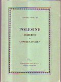 POLESINE MODERNO O CONSERVATORE?