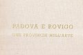 PADOVA E ROVIGO DUE PROVINCIE NELL'ARTE