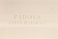 PADOVA CITTA' MATERNA | Immagine principale