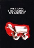 PREISTORIA E PROTOSTORIA NEL POLESINE- PADUSA ANNO XX 1984 N.1-2-3-4 | Immagine principale