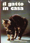 IL GATTO IN CASA | Immagine principale