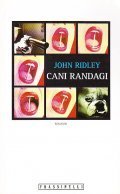 CANI RANDAGI- ROMANZO | Immagine principale