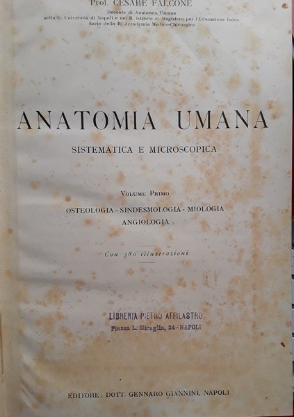Anatomia umana sistematica e microscopica. Volume 1