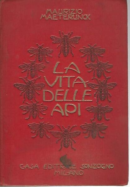 La vita delle api