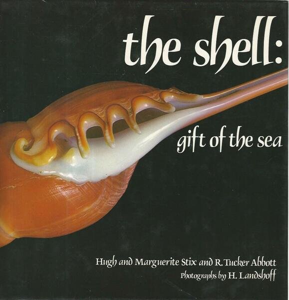 The shell:gift of the sea | Immagine principale