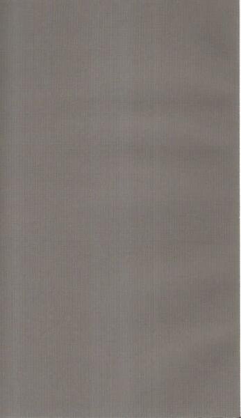 La maschera senza il volto | Immagine Gallery 2