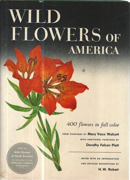 Wild flowers of America | Immagine principale