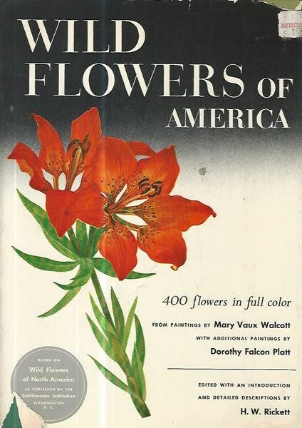 Wild flowers of America | Immagine Gallery 2