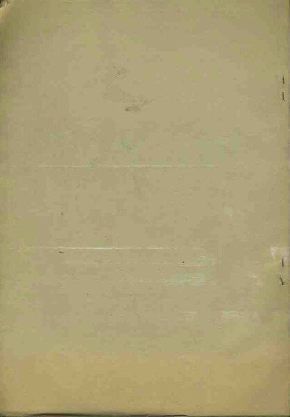 L'effettività delle decisioni giurisdizionali amministrative. Estratto