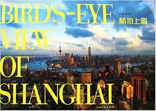 Bird's eye view of Shanghai | Immagine principale