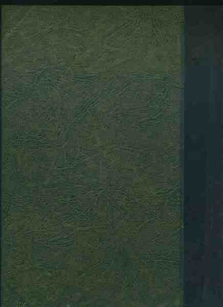 Il bisonte nero del Far West. L'aquila della Ande | Immagine Gallery 2