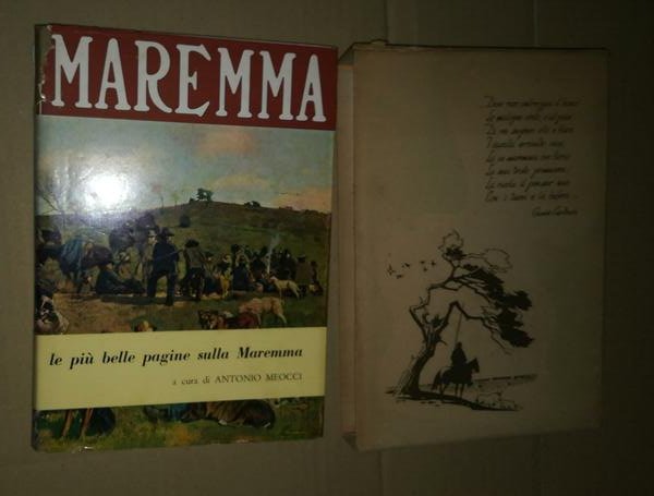 maremma