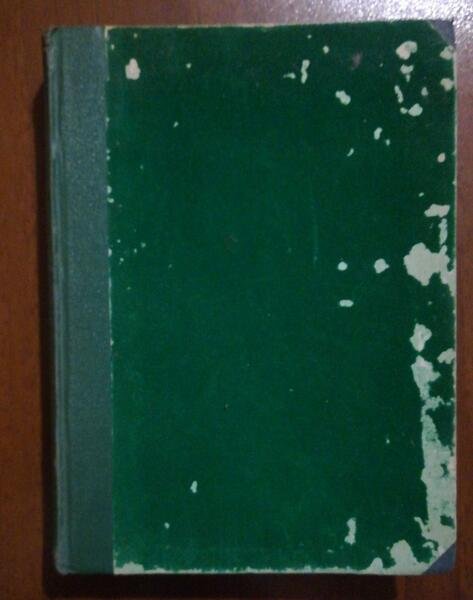 LA FONTANA NELLA FORESTA