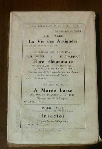 LA VIE DES GUEPES | Immagine Gallery 2