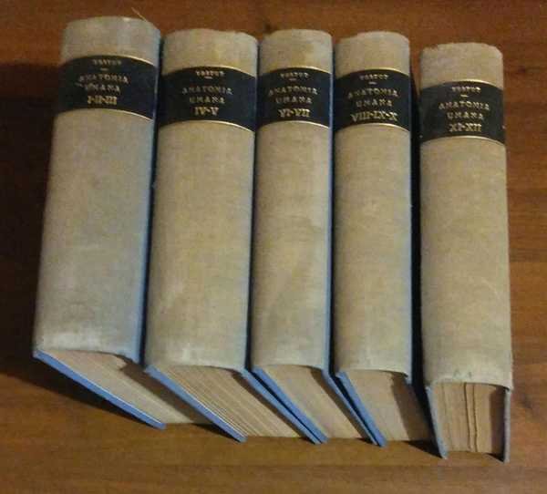 ANATOMIA UMANA 