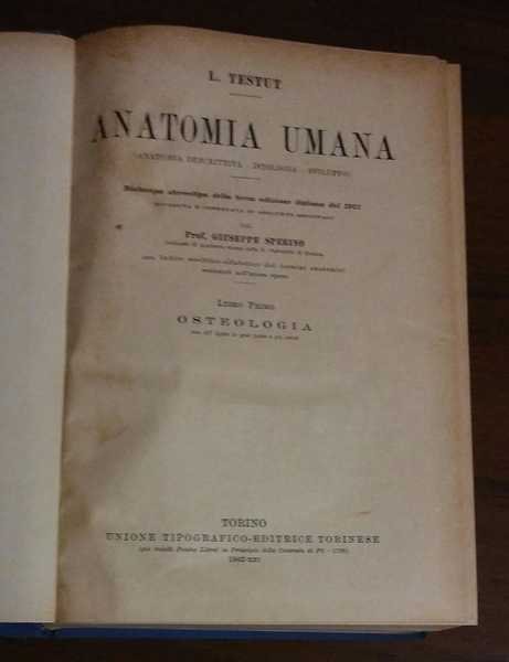 ANATOMIA UMANA