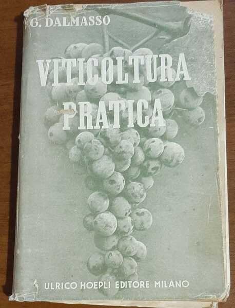 VITICULTURA MODERNA | Immagine principale