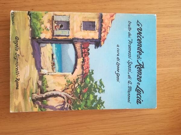 Le vicende di Enzo e Lucia | Immagine principale