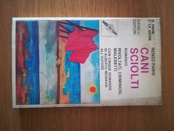 Cani sciolti | Immagine principale