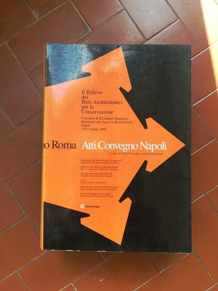 Il rilievo dei beni architettonici per la conservazione. Atti (Napoli)