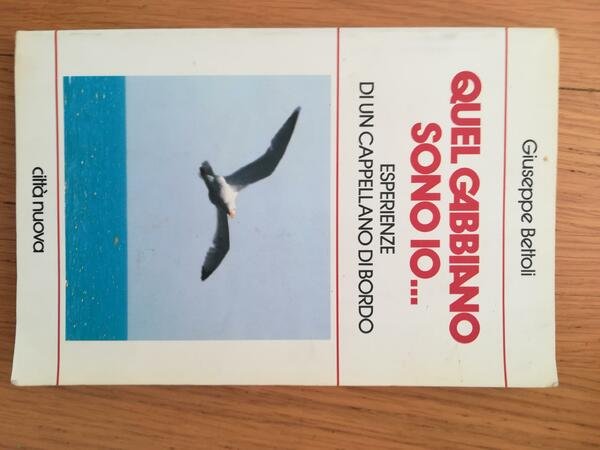 Quel gabbiano sono io... Esperienze di un cappellano di bordo | Immagine principale