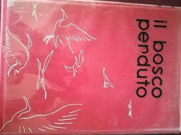 Il bosco perduto | Immagine principale