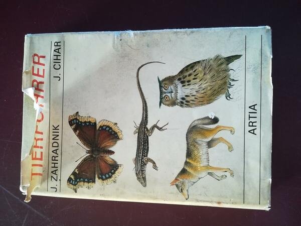 Tierfuhrer | Immagine principale