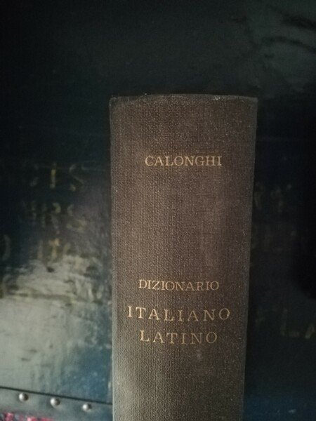 Dizionario italiano latino