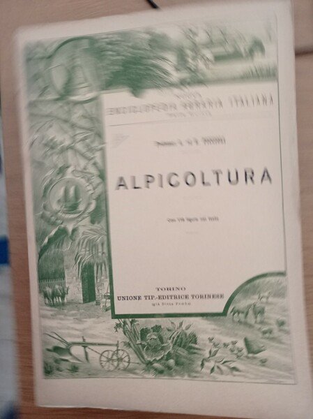 Apicoltura