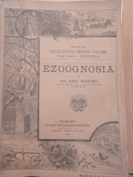 Ezoognosia | Immagine principale