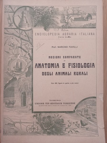 Nozioni comparate di anatomia e fisiologia degli animali rurali