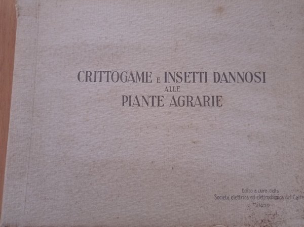 Crittogame e insetti dannosi alle piante agrarie | Immagine principale