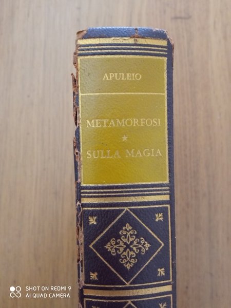 Le metamorfosi ( L'asino d'oro)
Sulla magia in sua difesa (Apologia)
