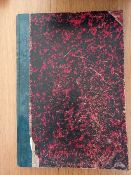 Gianni - lupo | Immagine Gallery 3