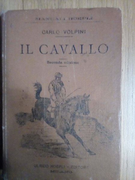 Il cavallo | Immagine principale
