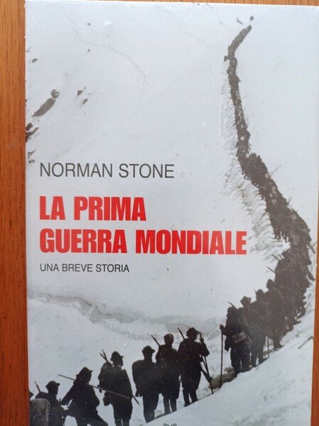La prima guerra mondiale breve storia.