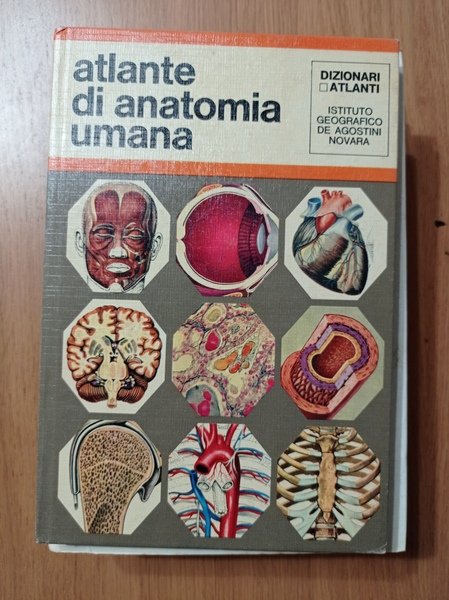 Atlante di anatomia umana