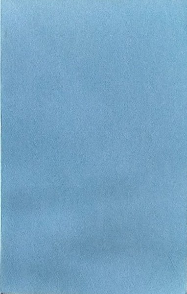 La professione giornalistica italiana