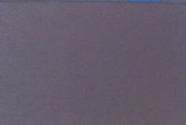 Ratio Medendi in Nosocomio Practico. Volumen XII | Immagine Gallery 3