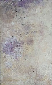 Lo spettacolo della natura ovvero trattenimenti sopra le particolarità della …