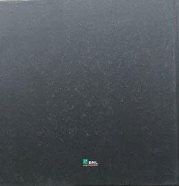 Internazionali BNL d'Italia 2008 | Immagine Gallery 3