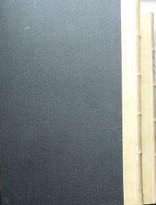 Del Diritto dei Terzi secondo il Codice Civile Italiano. Volumi …