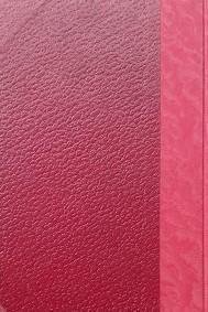 Padre Sergio | Immagine Gallery 3