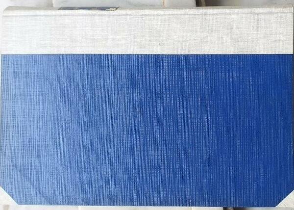 Il giocatore | Immagine Gallery 3