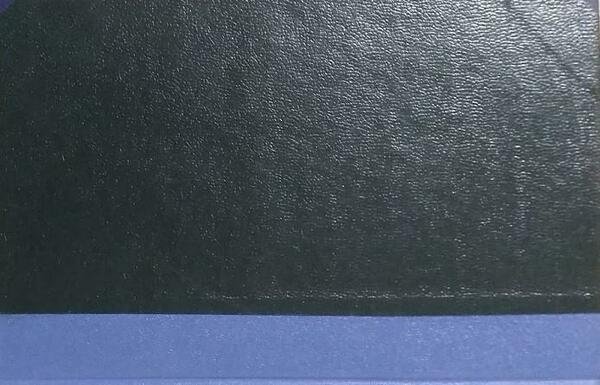 L'orfana | Immagine Gallery 3