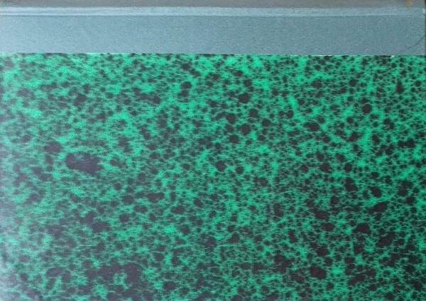 Rivista di Diritto Pubblico - La Giustizia Amministrativa, parte prima …