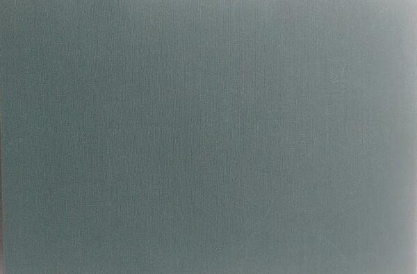 Celebrazione del cinquantenario della municipalizzazione (Atti del Convegno di Studi)