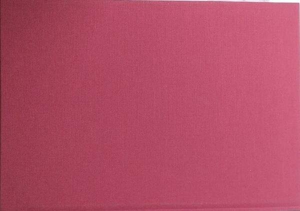 Beato Papa Pio IX. Ricognizione e consevazione delle sue spoglie …