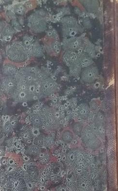 Il costume antico e moderno o storia del governo, della …