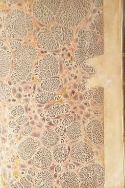 Storia pittorica della Italia, dal Risorgimento delle Belle Arti fin …